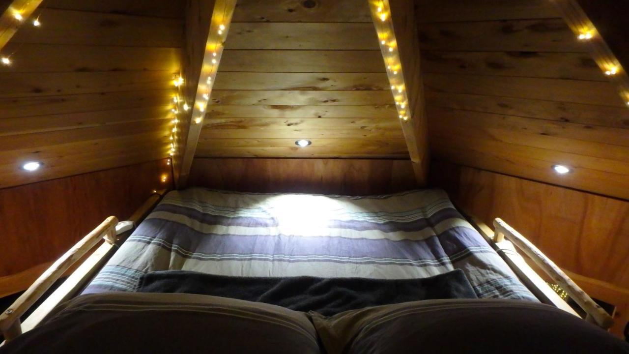 Tree House Lodge Bed & Breakfast Cheviot Exterior foto